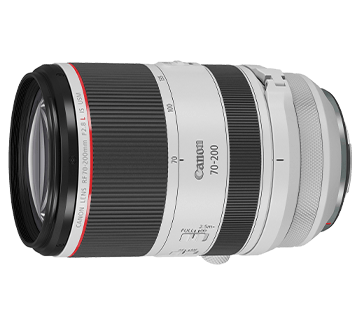 【美品】SONY 16-50mm F3.5-5.6 OSS SELP1650 Canon EF 70-200mm F2.8 L USM EF 70-200mm f/2.8L IS II